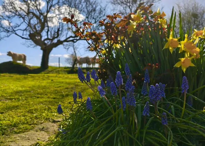 Hébergement de vacances Roulotte équipée - La Pâquerie
